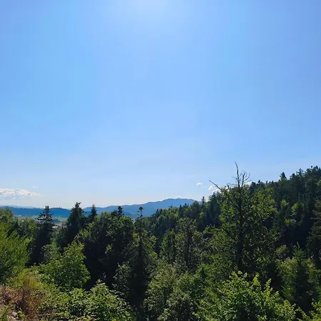 Cankar's View Apartment